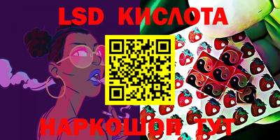 винт Будённовск