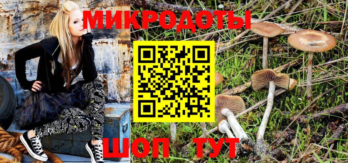 Галлюциногенные грибы Magic Shrooms Химки
